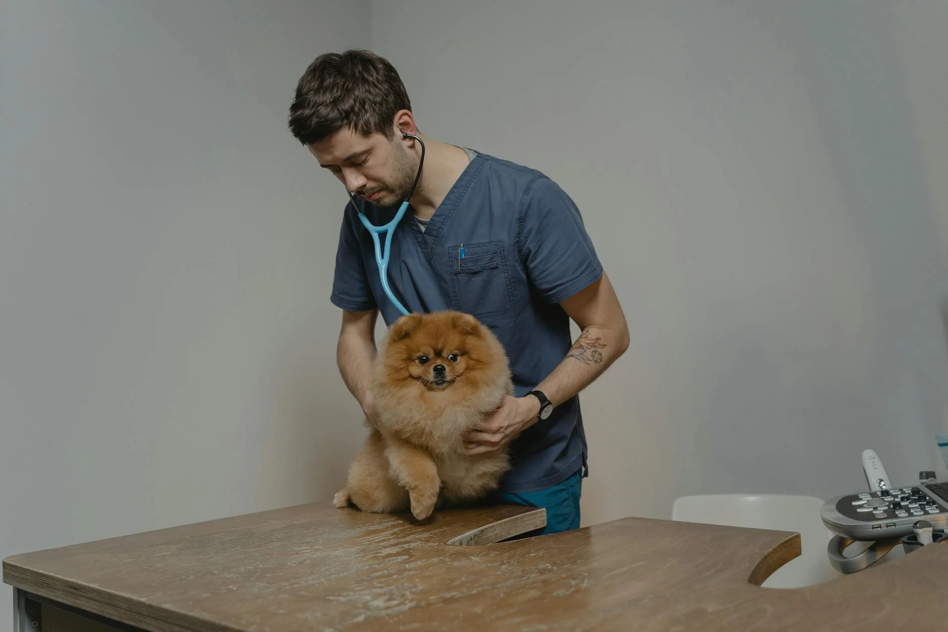 Veterinary clinic exam room — pet insurance covers diagnostic visits