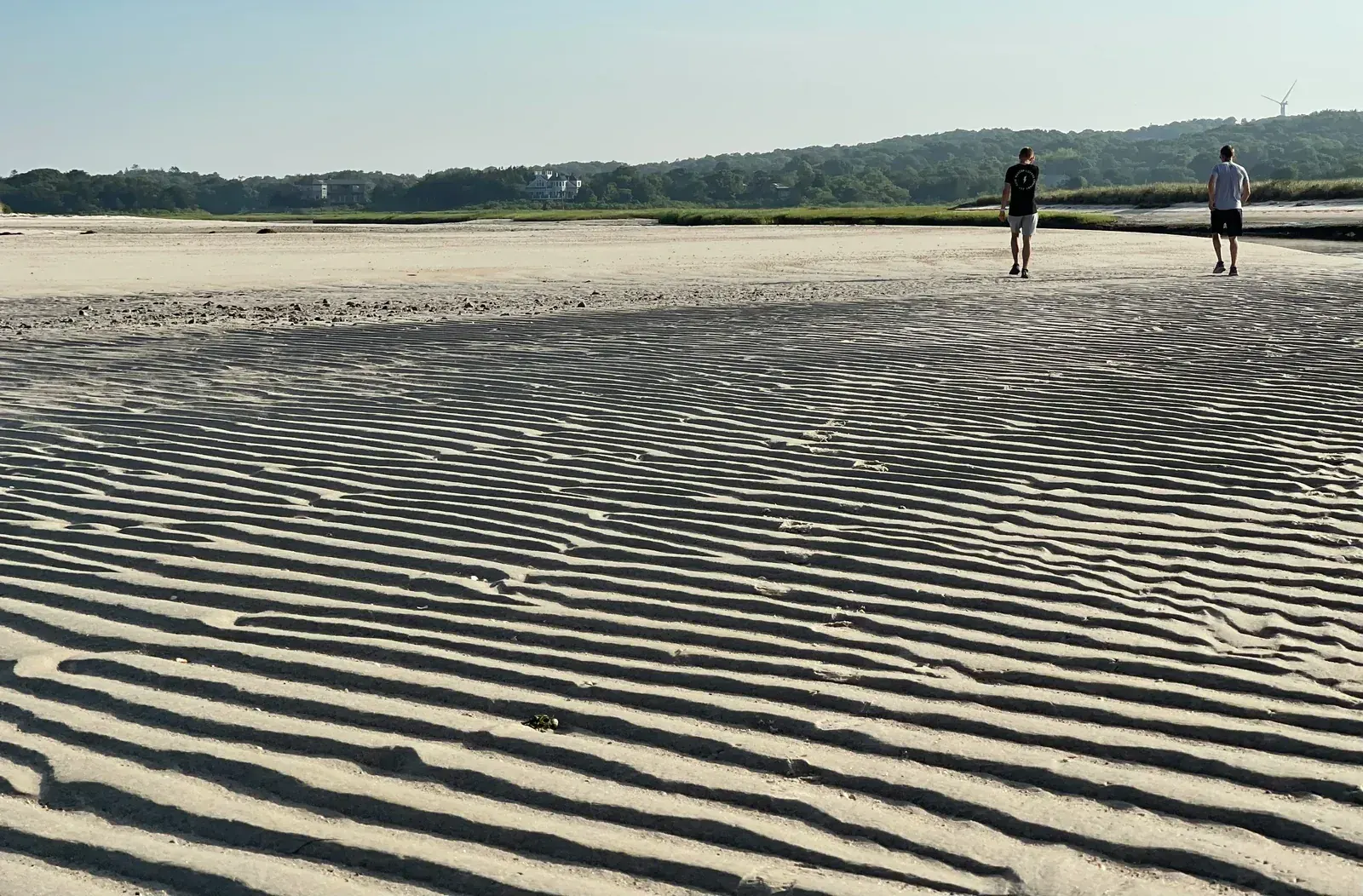 Cape Cod coastline — coastal storms from August through November require pet owner preparedness