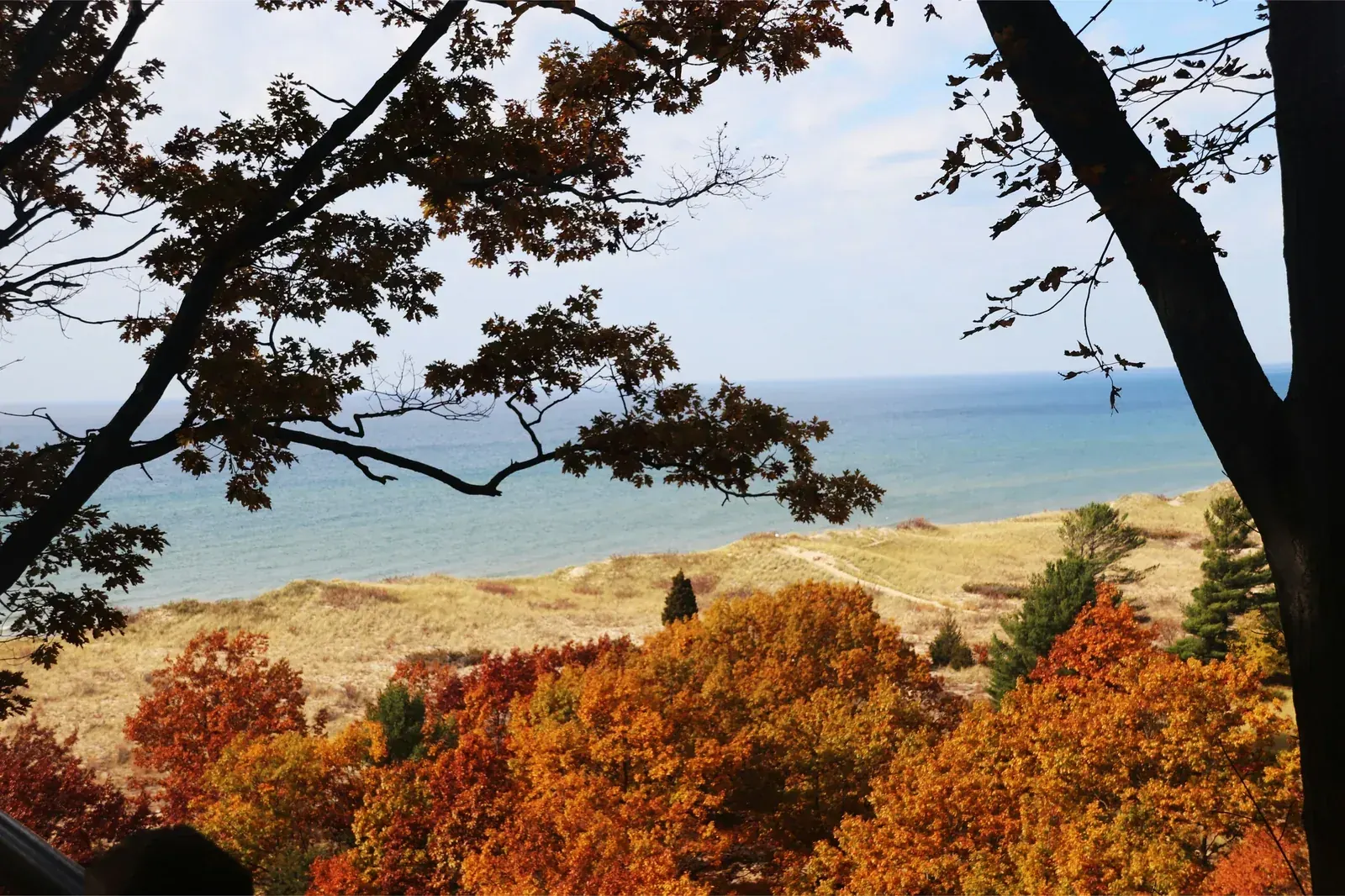 Michigan autumn colors — fall brings peak tick activity and Lyme disease risk across the state