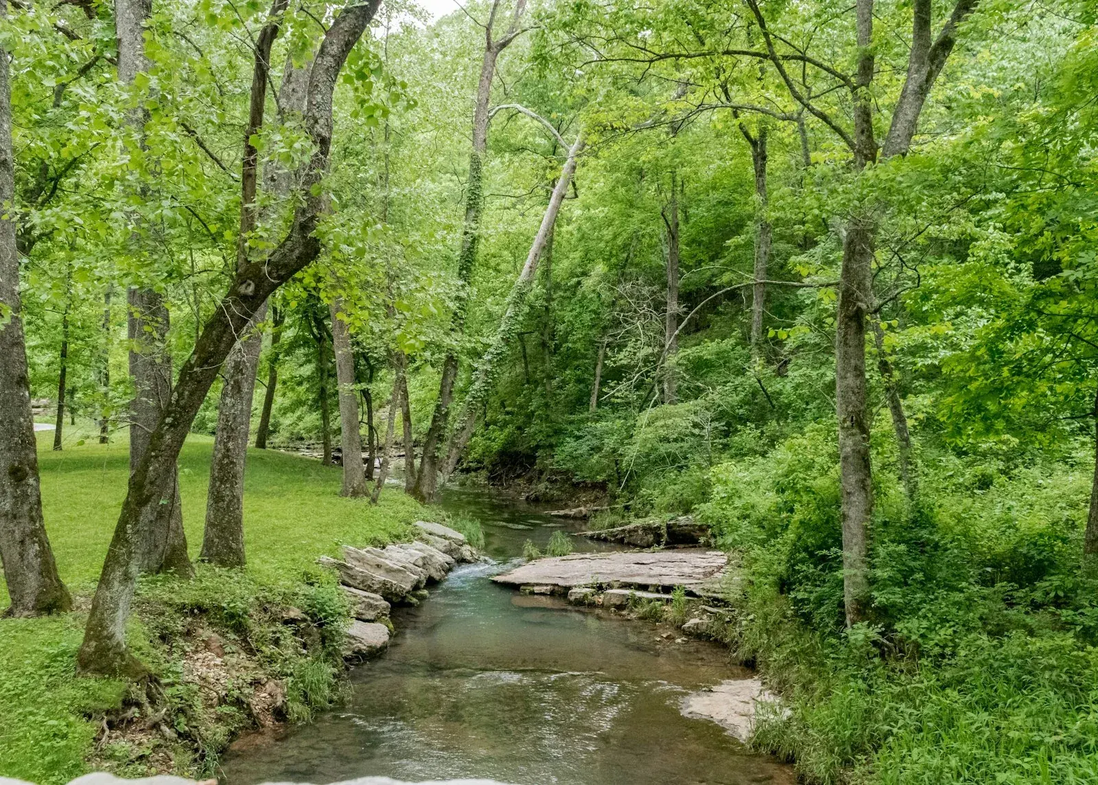 Missouri Ozarks landscape — rural areas have fewer vets per capita than metro areas