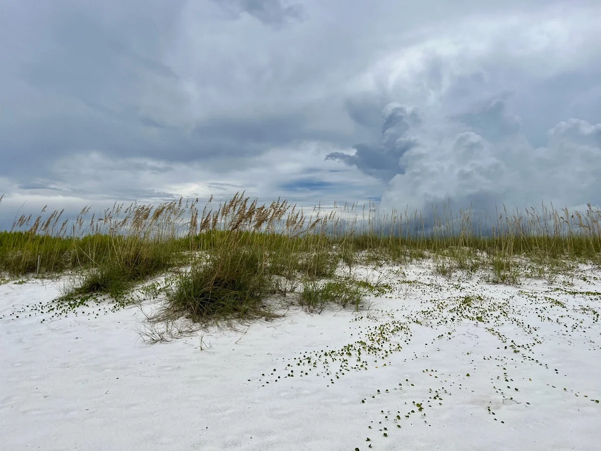 Storm clouds gathering over the Gulf Coast — hurricane season runs June through November in Mississippi