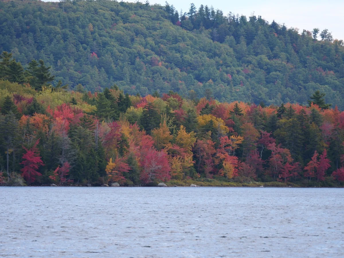 New Hampshire fall foliage