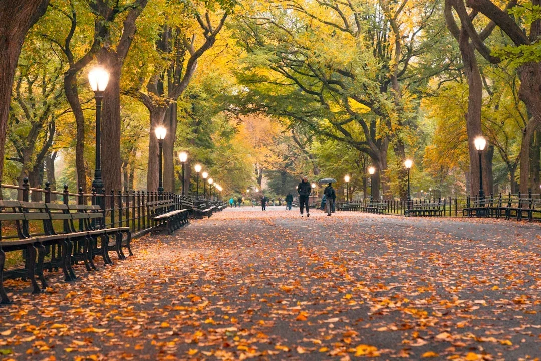 Autumn in New York — fall brings peak Lyme disease risk as deer ticks are most active in cooler months