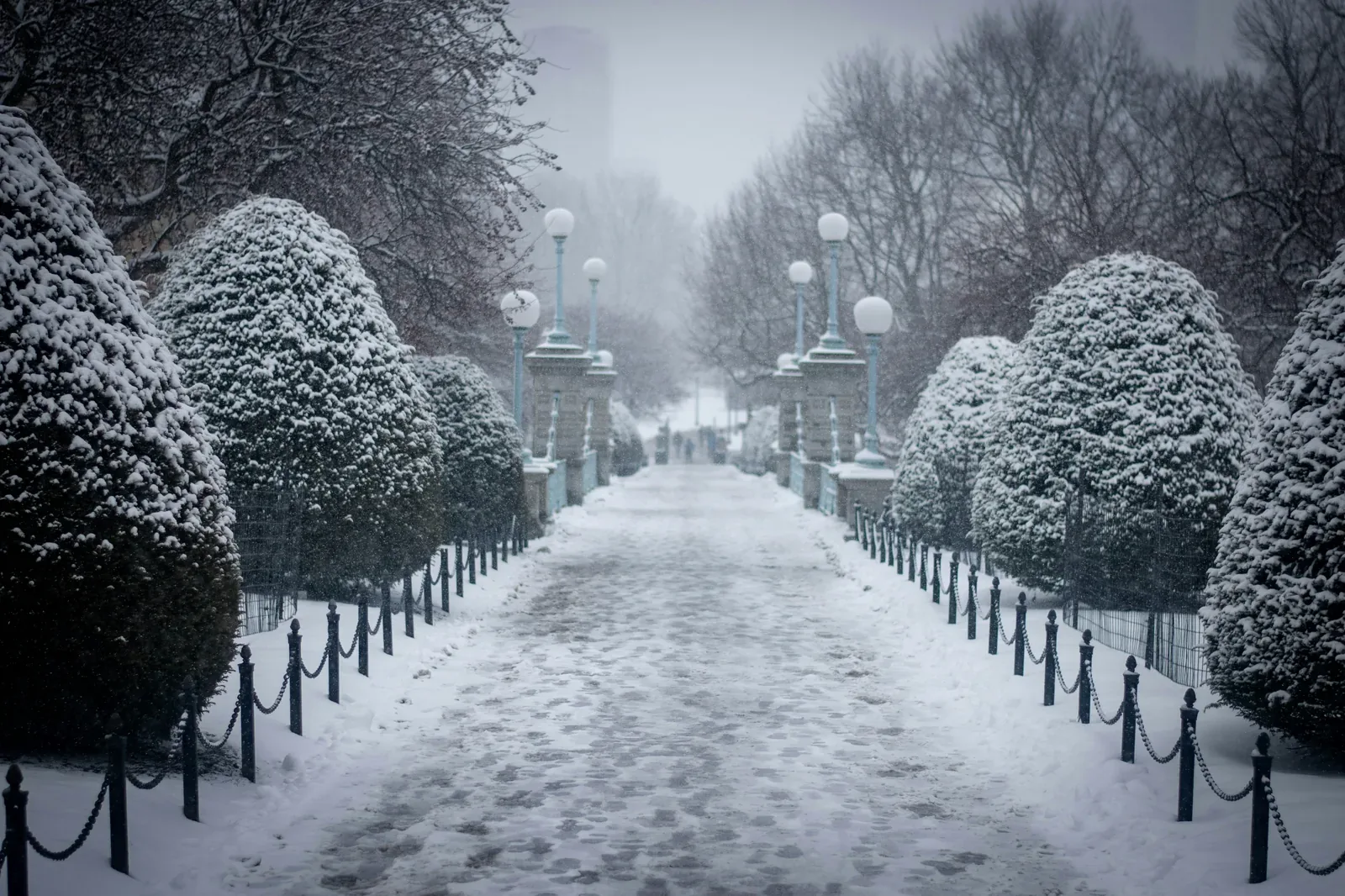 Rhode Island winter snowstorm — blizzard conditions create injury risks for outdoor pets