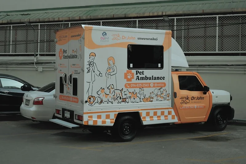 Emergency veterinary care